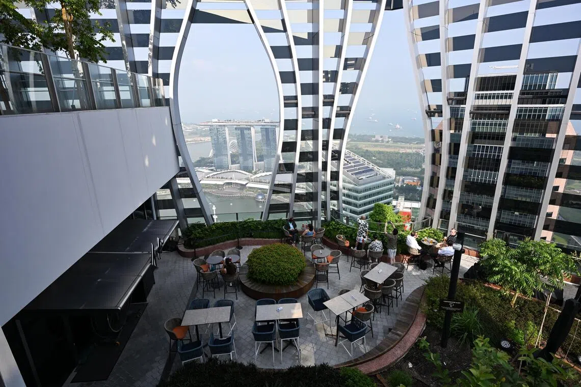CapitaSpring contains a 35m-high Green Oasis built to resemble a rainforest, located at levels 17 to 20.