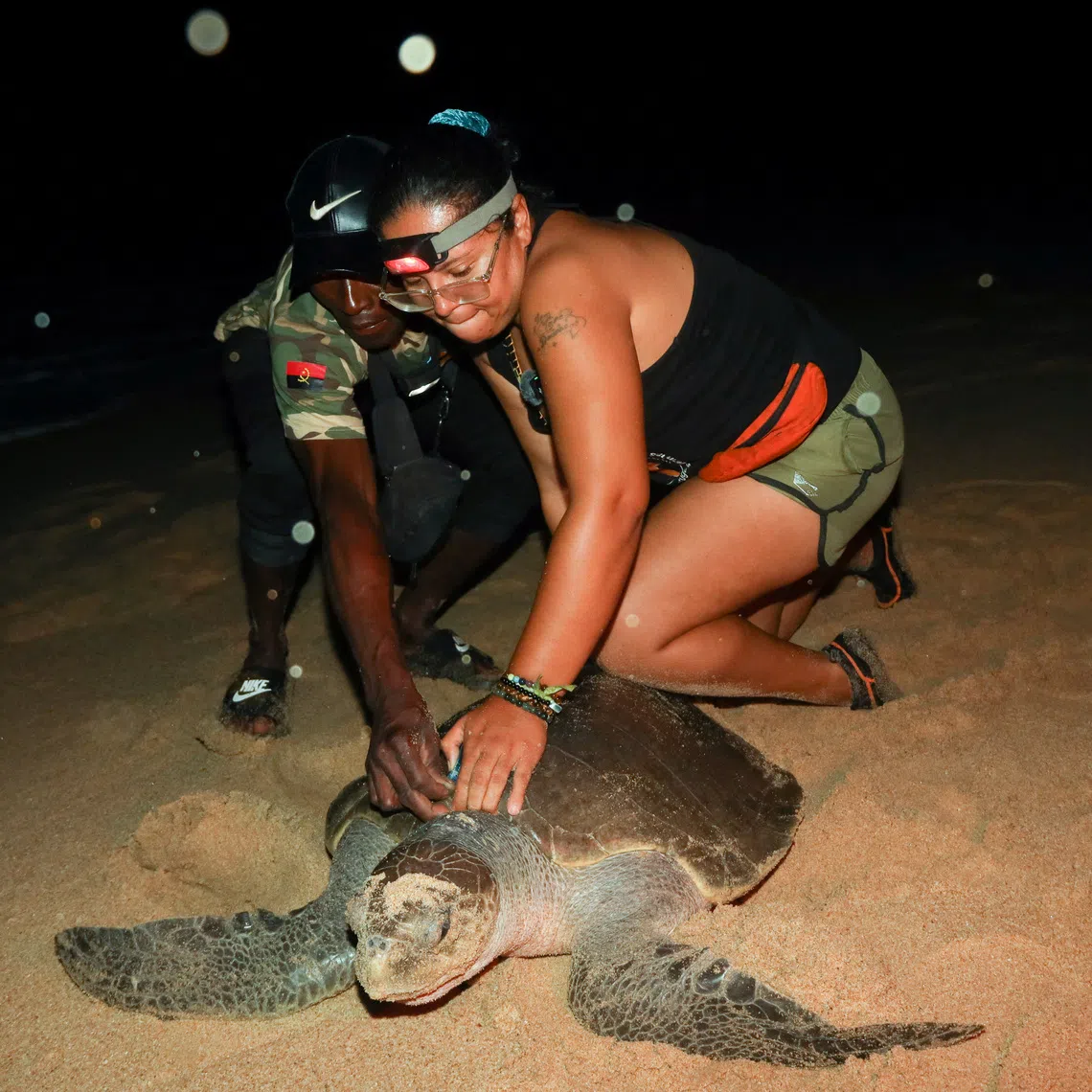 Joaquim Avelino Fragoso, who once killed sea turtles for food or money, assists Debora Carvalho to inspect a turtle in Hojiua, at the Longa base in Cuanza Sul province, Angola, November 7, 2025. REUTERS/Cesar Muginga