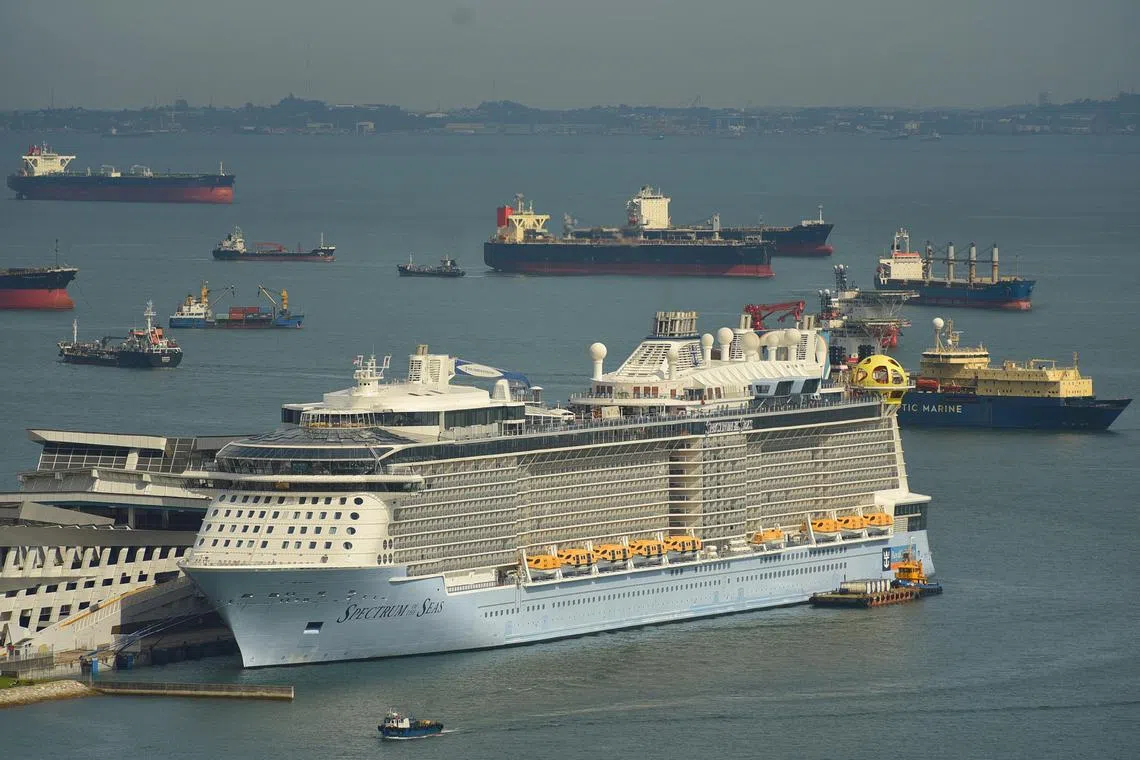 At midyear, three of the big cruise companies, including Royal Caribbean Group, were among the top 10 stocks in the S&P 500.