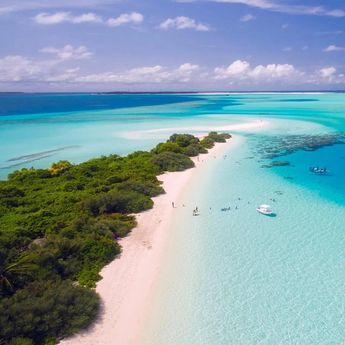 An investigation is under way after five Italian nationals died in a scuba diving accident in the Maldives.