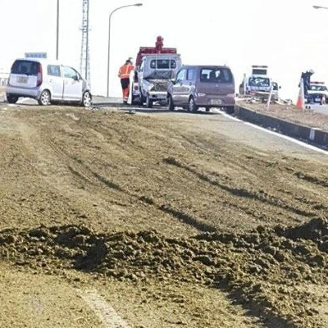 Tea leaves were scattered over a 500m stretch of a two-lane road in Sano, Tochigi prefecture.