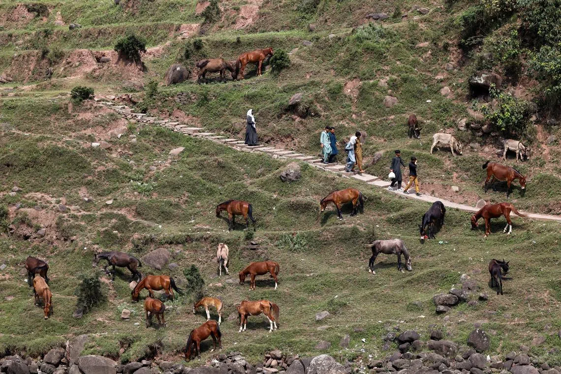 Residents walking past a herd of mules, in Garhi Dupatta, Pakistan-administered Kashmir, on May 5, 2025. 