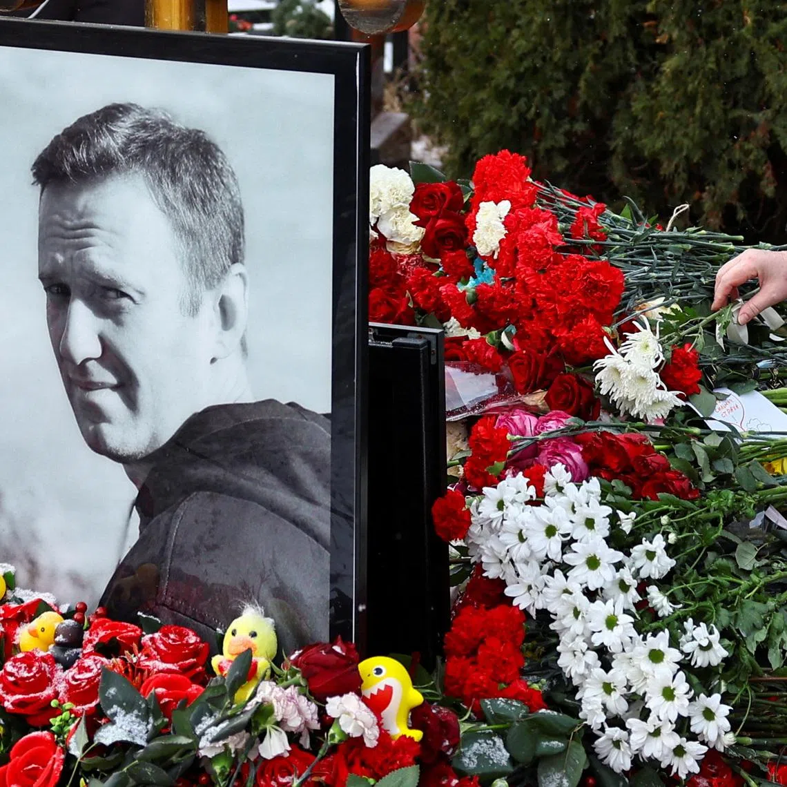 A person lays flowers at the grave of Russian opposition leader Alexei Navalny while marking the first anniversary of his death at a cemetery in Moscow, Russia, February 16, 2025. REUTERS/Evgenia Novozhenina