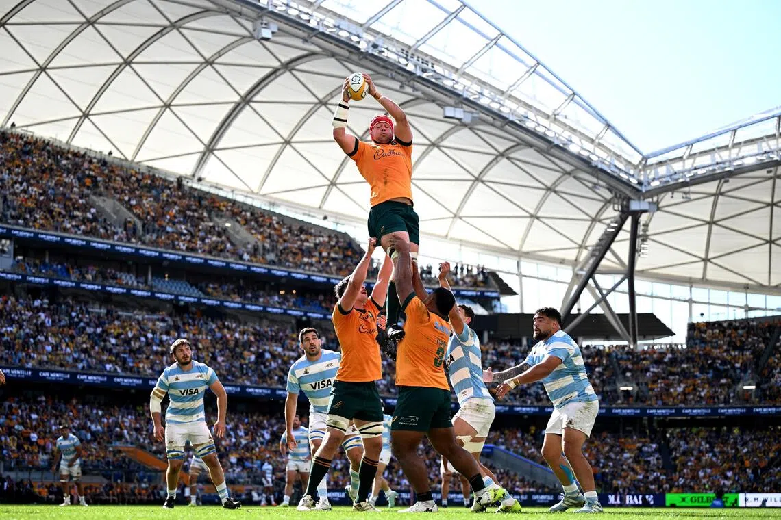 Harry Wilson of Australia wins a line out ball  during the Rugby Championship test against Argentina.