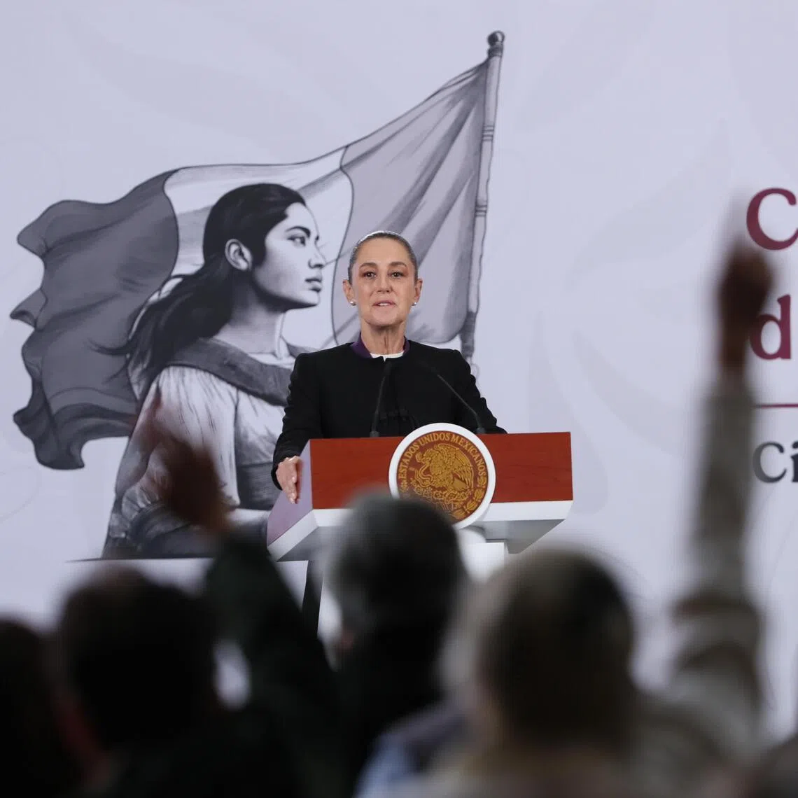 Mexican President Claudia Sheinbaum said that the child, who was being taken to the US for treatment, was among the dead. Two people survived the crash and one is missing.