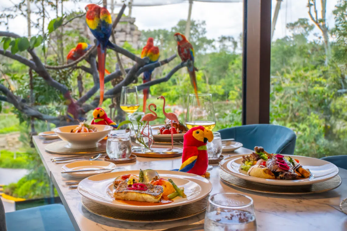mandai wildlife reserve bird paradise lunch in the wild