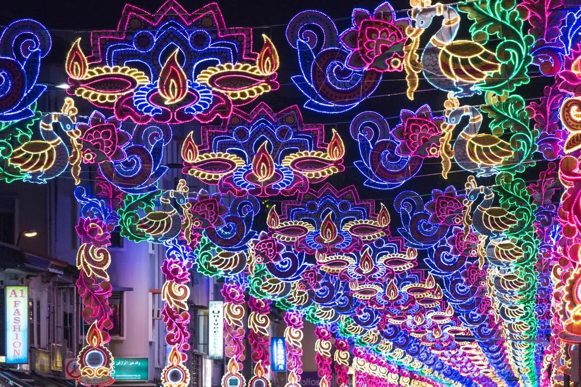 The 2018 light-up also featured celestial swans known as "annapakshi". These mythical birds have the body and beak of a swan and beautiful feathers similar to a peacock's. In Hindu mythology, they are a symbol of abundance.