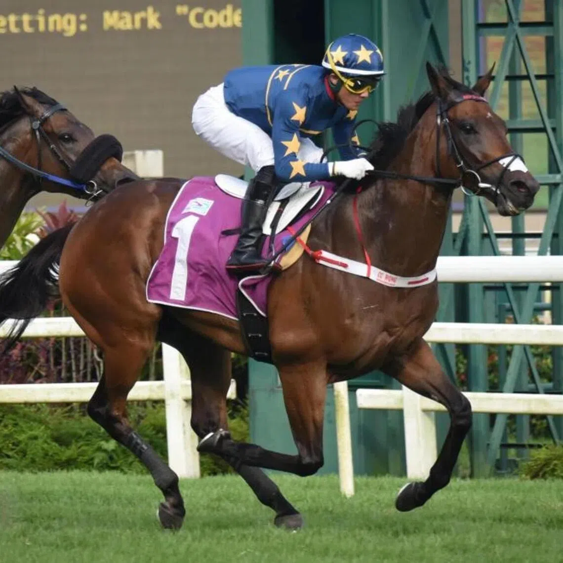 Lim's Kosciuszko has not visited the winner's enclosure in Australia since his relocation, contrary to his heyday in Singapore where he racked up 22 wins in an illustrious racing career spanning between 2021 and and 2024.