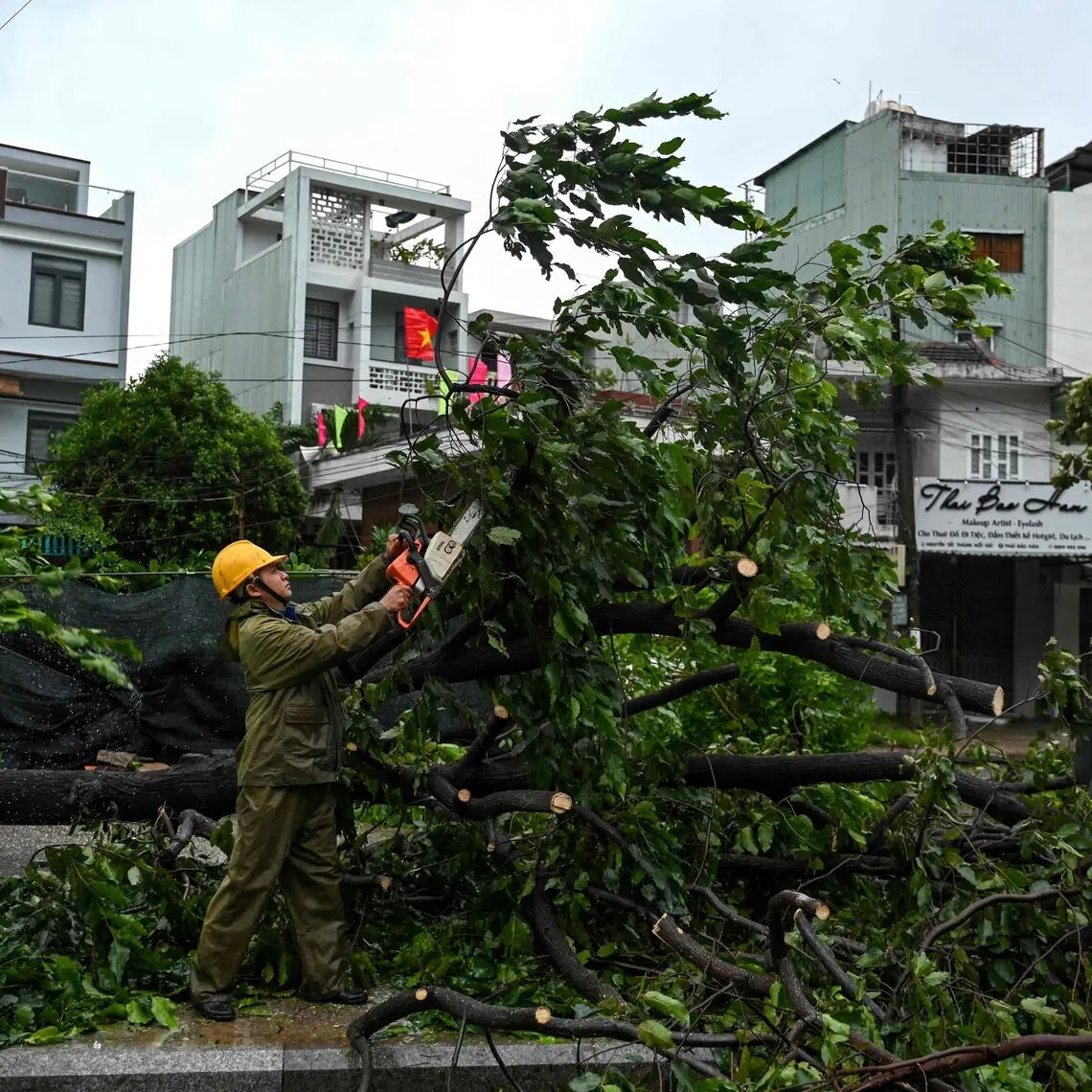 The storm made landfall in central Vietnam late on Nov 6, uprooting trees, damaging homes, and triggering power outages, before weakening as it moved inland. 