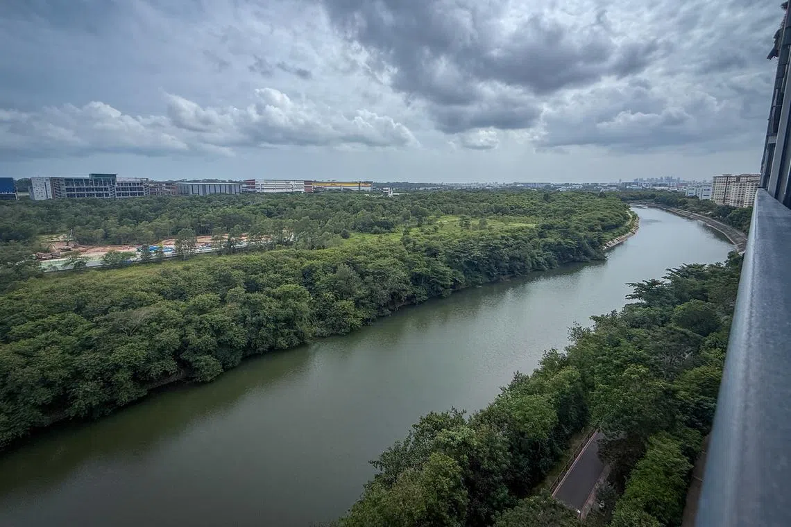 A bus depot under construction in Serangoon River forest on Jan 5.