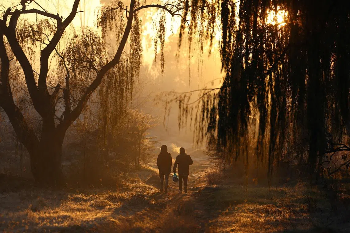 Men walking among trees in the morning frost, as the temperatures drop in the south of Johannesburg, South Africa, on June 12, 2024. 
