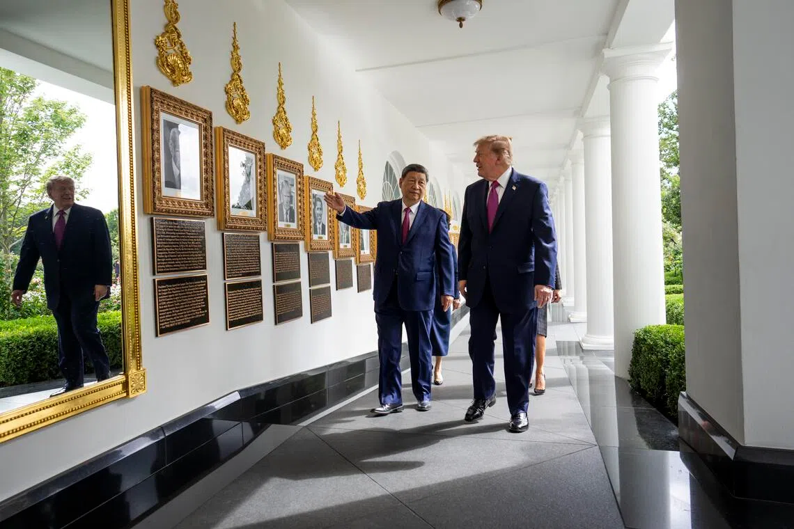 China sends two giant pandas to US after Trump-Xi summit