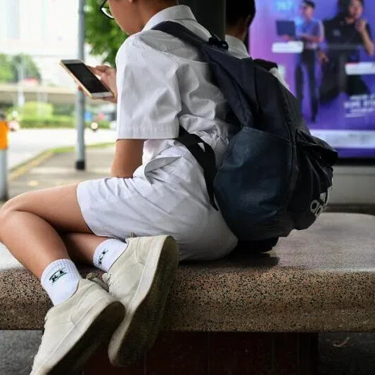 Singapore wants to make social media platforms safe for children all the way up to the age of 18, says the writer who is Minister for Digital Development and Information.