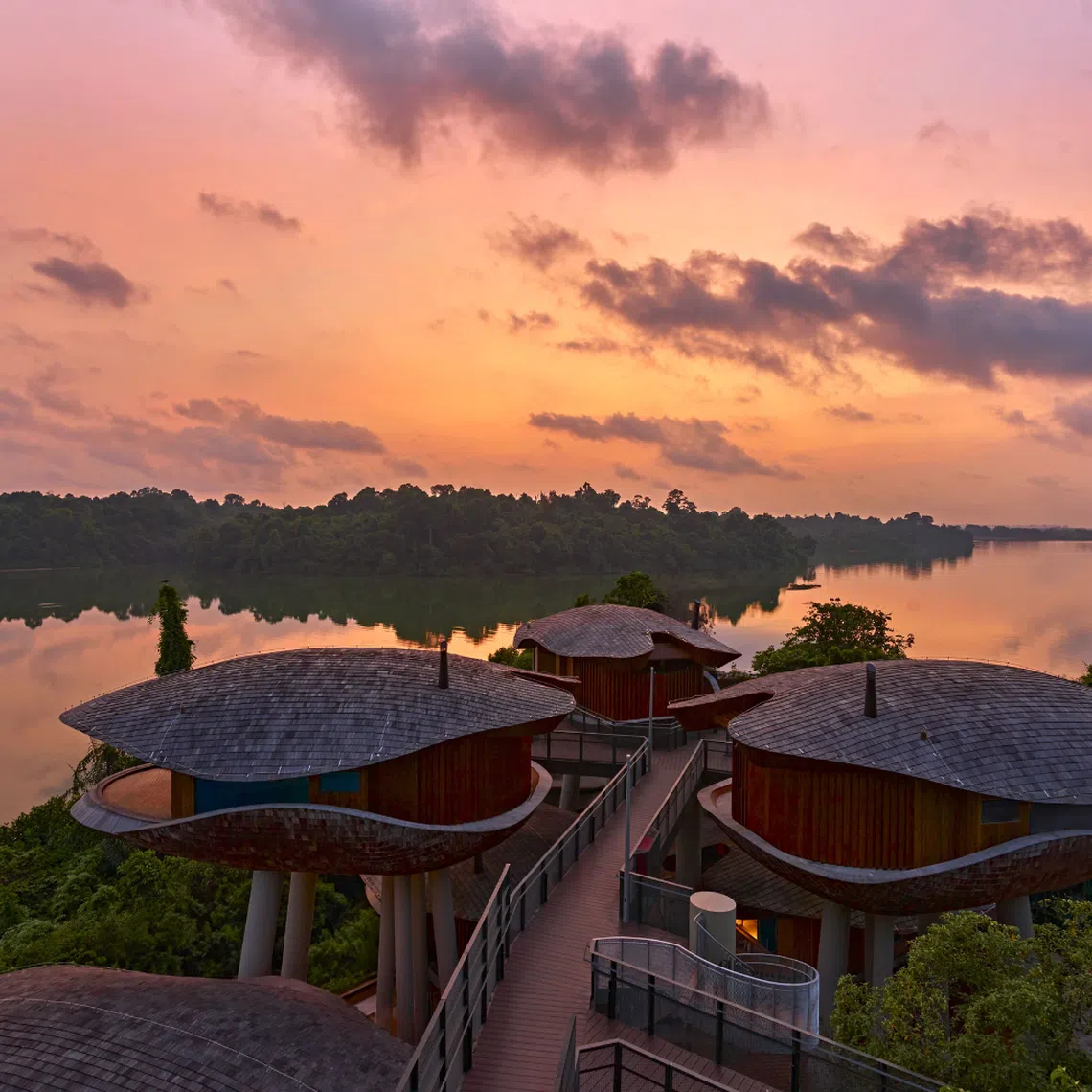 Whether you are tucked away in a luxurious tree house or unwinding in a cosy family room, every stay at Mandai Rainforest Resort by Banyan Tree lets you wake up to crisp forest air and the sounds of nature and wildlife.