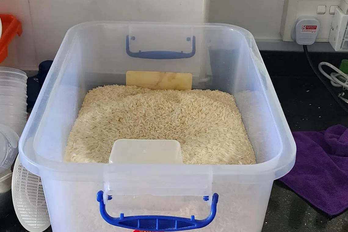 Facebook user Victor Yew had offered rice which contained weevils, which are small beetles, in a group on the social media platform on Sept 14.