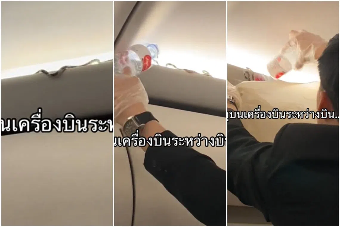In a TikTok video shared by user @wannabnailssalon, a snake was spotted slithering atop the cabin’s overhead compartment of the plane. 