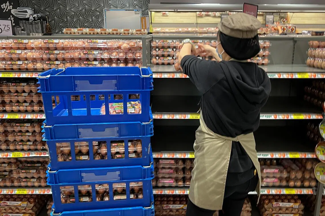 Eggs from Seng Choon Farm on the shelves of a FairPrice outlet at Vivocity on 25 Feb 2022.
