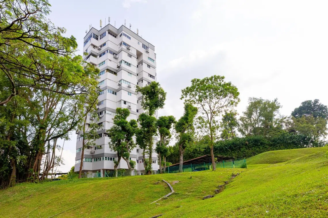 Holland Tower falls within the Good Class Bungalow Area in Holland Park and it is zoned for residential use.