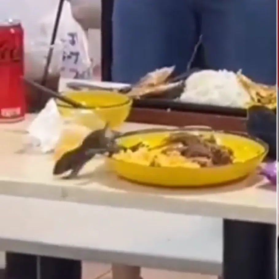 A rodent is seen poking its nose at a plate of food before scurrying across the table at a foodcourt, identified by some social media users as the foodcourt in Lucky Plaza.
