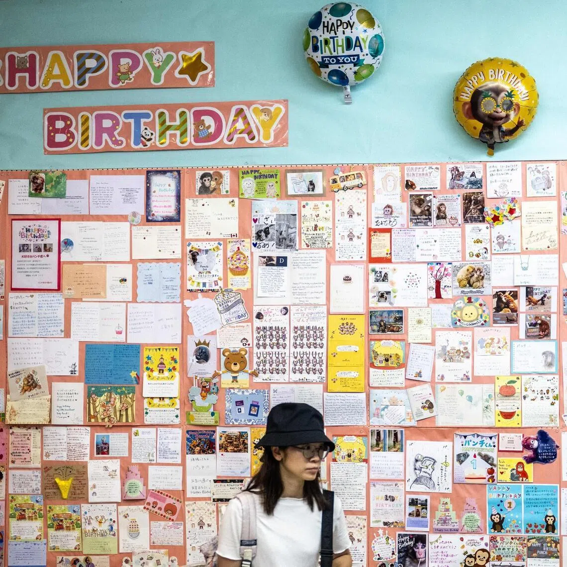 A visitor stands in front of a wall birthday messages for Punch on July 24.