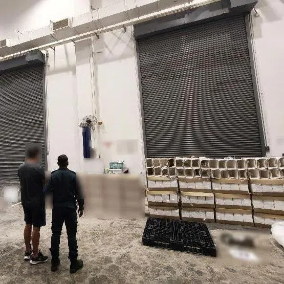 The Singapore Customs seized 3.24 million packets of duty-unpaid cigarettes between January and November 2025.