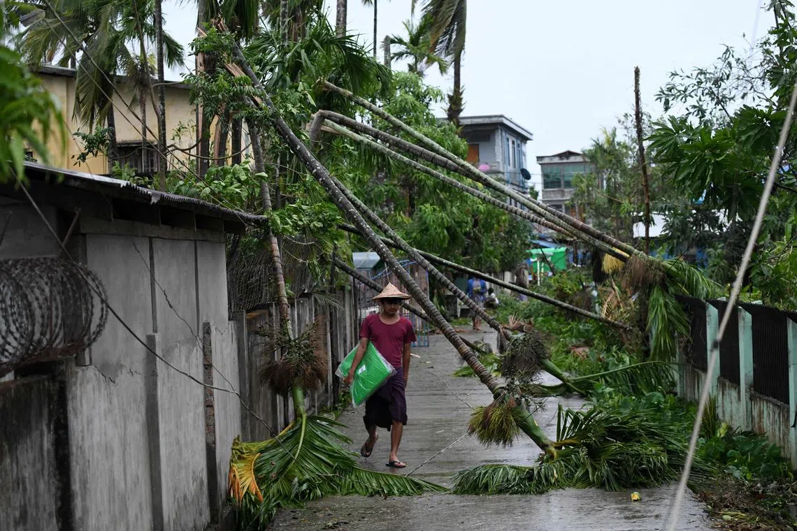 Fallen trees are seen after Cyclone Mocha's crashed ashore in Kyauktaw, Myanmar’s Rakhine state on May 14. 