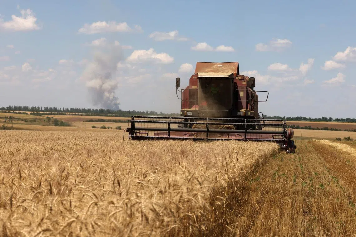 A combine harvests wheat on a field near Novosofiivka village, Mykolaiv region on July 4, 2023. Ukraine was one of the world's top grain producers, and the deal has helped soothe the global food crunch triggered by the conflict. Germany and Ukraine called on July 3, 2023 for the extension of a landmark deal that allows grain from Ukraine to reach the global market, which is set to expire soon. (Photo by Anatolii Stepanov / AFP)