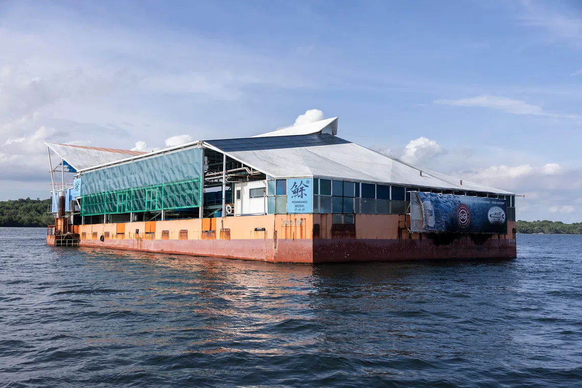 The buoyant appetite for high-tech farming was not to last – and the local farming sector has since been gripped by closures, and falling output. 