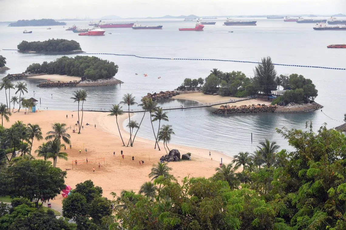 Water activities were suspended at Sentosa’s three beaches after the enclave’s first reported crocodile sighting by a Sentosa Cove resident on Jan 31.