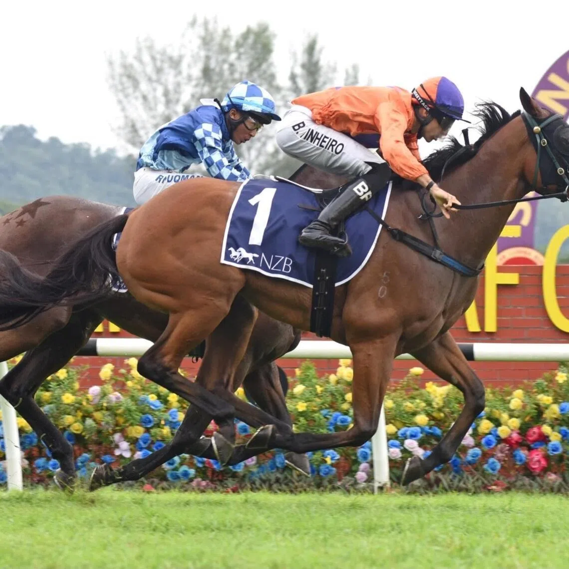 The Simon Dunderdale-trained Antipodean (Bernardo Pinheiro) winning the NZB Ready To Run Open Championship (1,400m) on Oct 12, 2025.