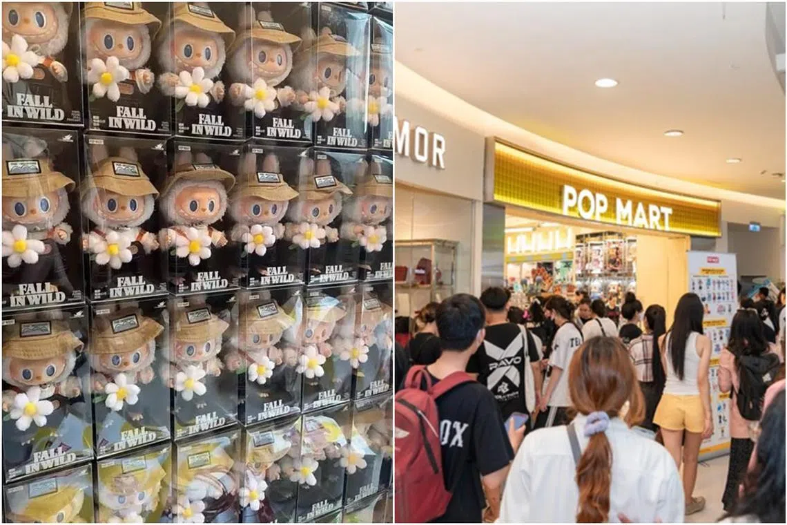 The page claimed that customers queued for up to six hours at the Pop Mart store in Plaza Singapura, and showed a photo of a crowd outside the toy store.