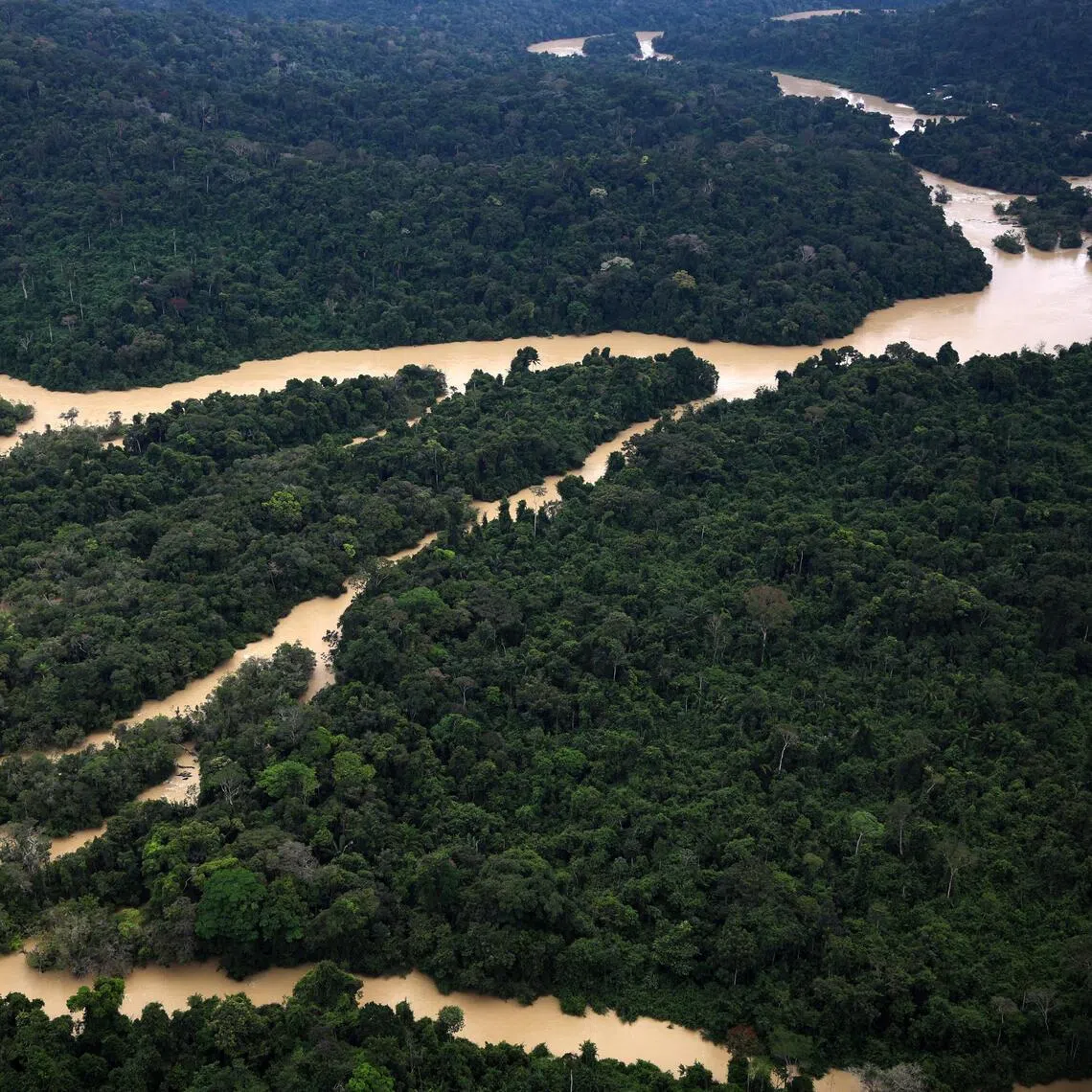 The amazon recorded water levels 2.6 per cent above its historical average in 2025, though a monitoring network said the situation remains concerning.