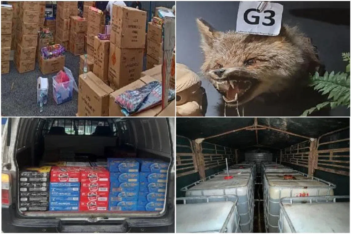 The smuggled wildlife and contraband were seized following 35 raids conducted nationwide this year.