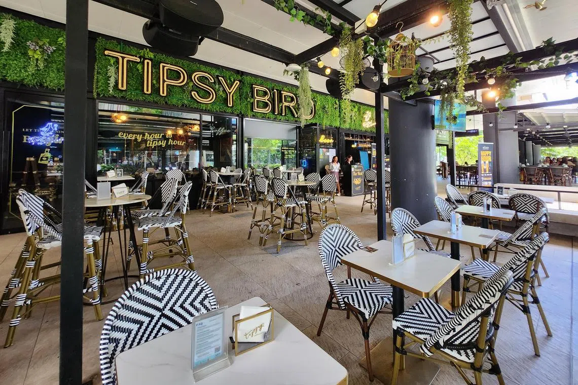 jltipsy - Tipsy Bird outlet at Paya Lebar Quarters was quiet with few customers when The Straits Times visited the restaurant during lunch time on Nov 8, 2024.

Photo by: Joyce Lim