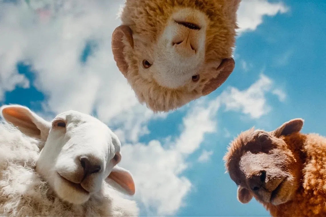 (From left) Regina Hall as Cloud,Chris O'Dowd as Mopple and Julia Louis-Dreyfus as Lily (right) in The Sheep Detectives.