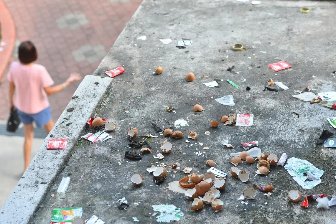 Home owners and tenants will need to show proof they did not commit high-rise littering offences with 14 days of being notified, under a new Bill.