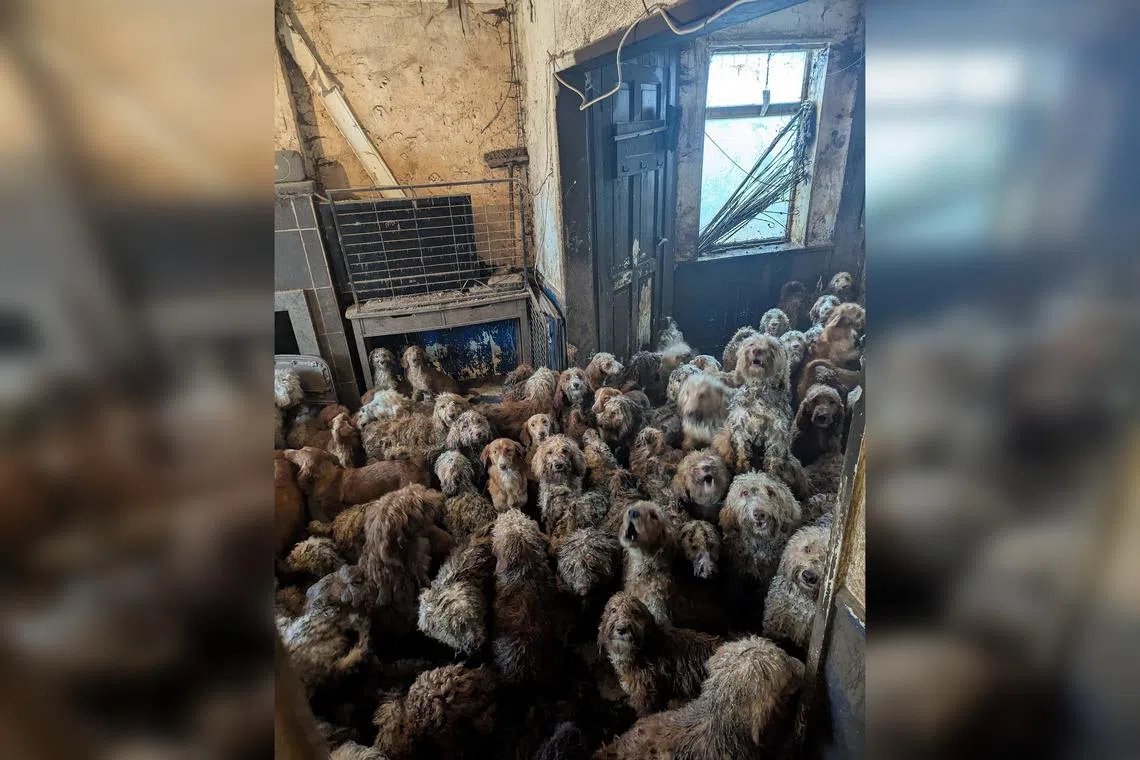 A photo taken at the home in question  prompted “disbelief” and false claims that the image was AI-generated.