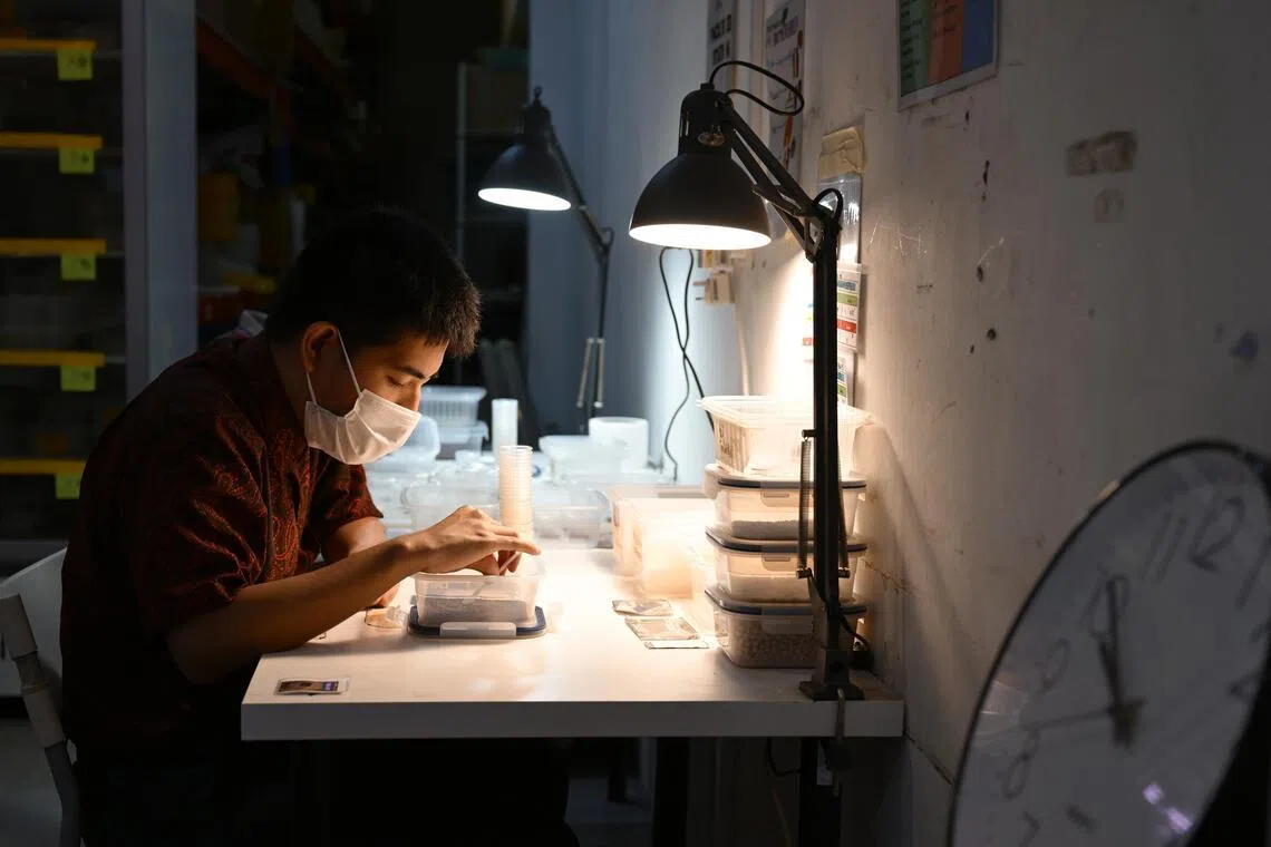 Mr Bjorn Low is most concerned about how the farm’s restructuring will affect the six adults with autism employed by EGC for the past 10 years.