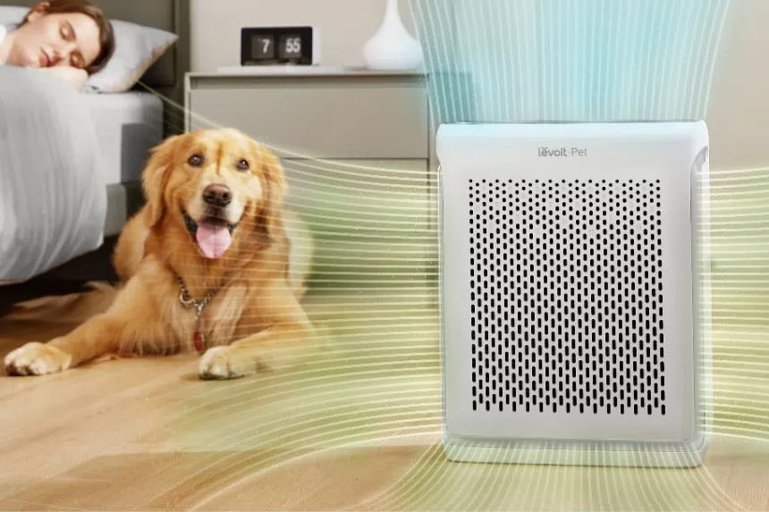 Levoit Vital 200S Smart Air Purifier