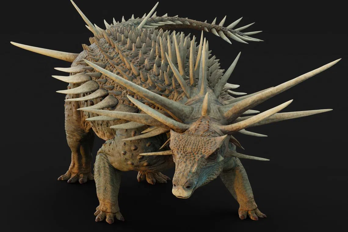 An artistic reconstruction of the ankylosaur Spicomellus afer, based on fossils found in the Atlas Mountains of Morocco, shows the animal with the most extensive armor of any known dinosaur. Matt Dempsey/Handout via REUTERS.