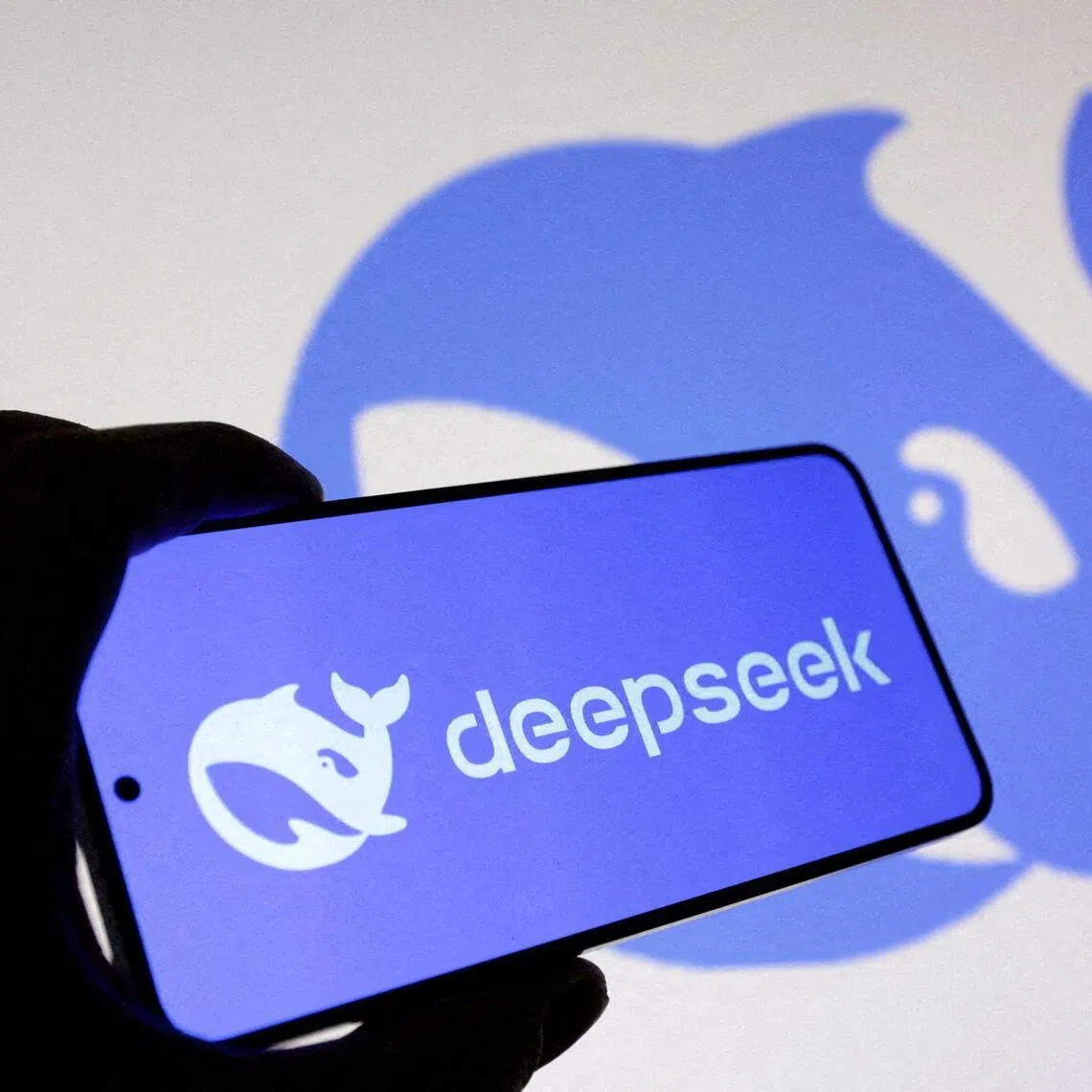DeepSeek started life in 2023 as a side project of a hedge fund that had access to a cache of powerful Nvidia processors.