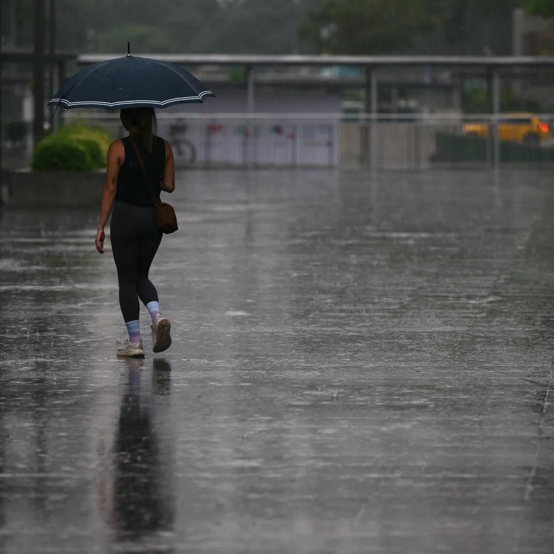 The showers may extend into the evening on a few of these days.