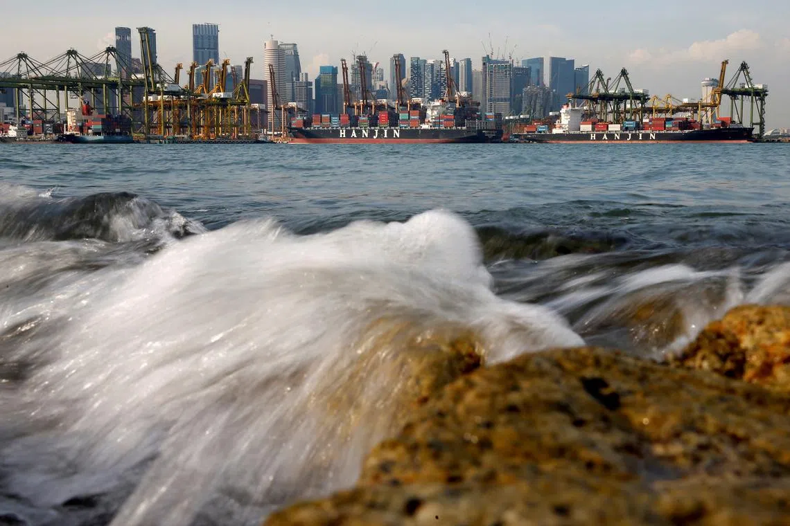 A global slowdown is widely predicted.