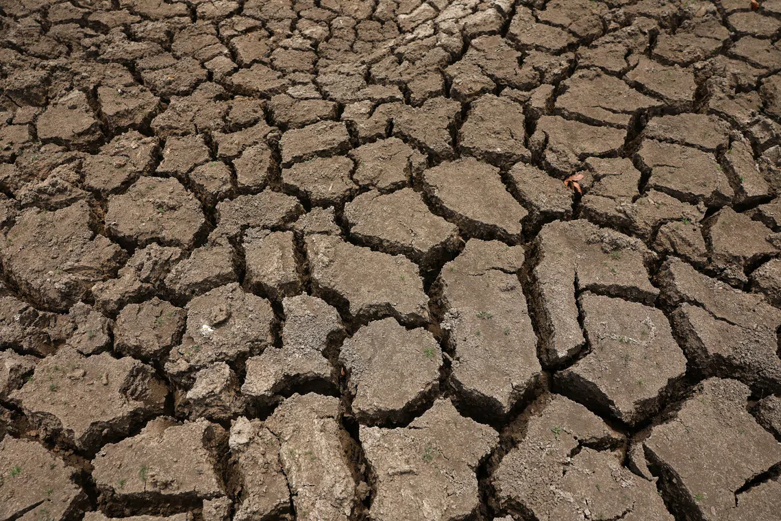 Sri Lanka bars tourists from heart of drought-hit park as El Nino looms