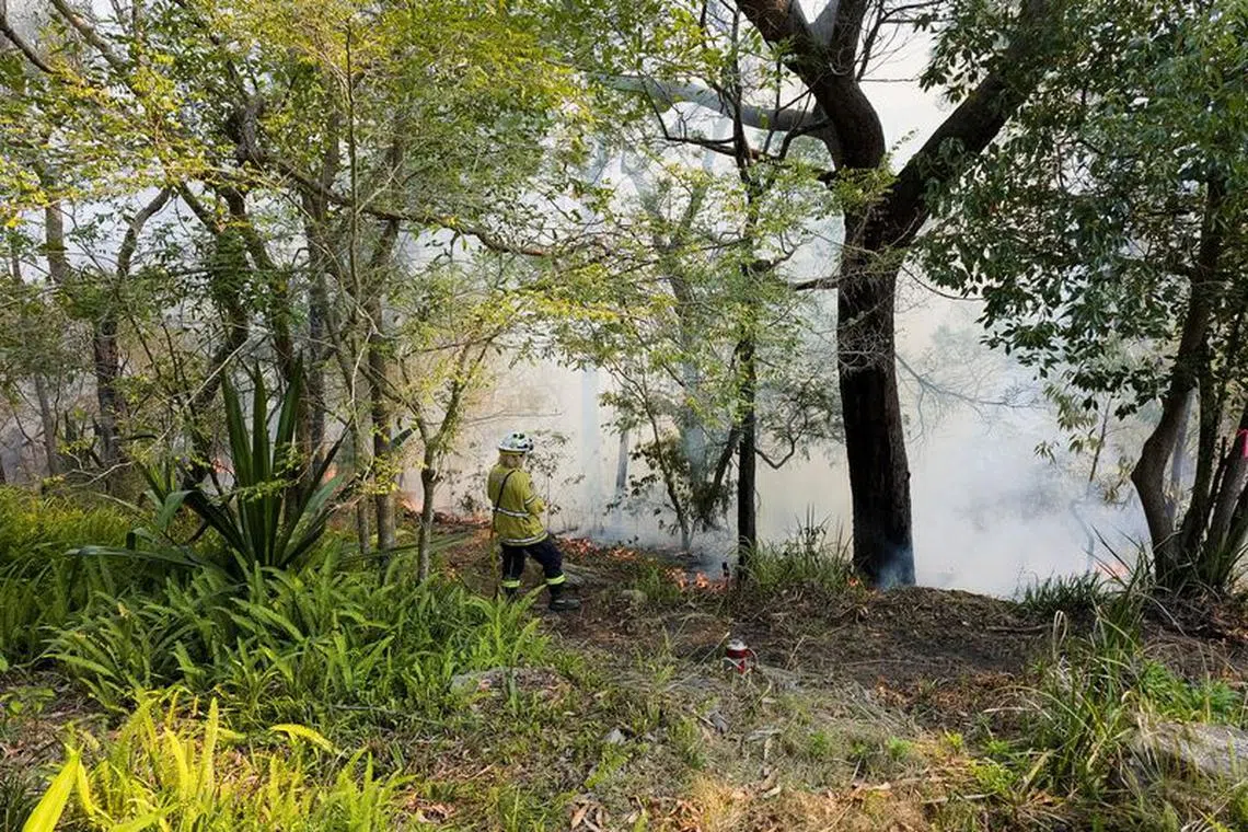 FILE PHOTO-New South Wales Rural Fire Service firefighter Elisabeth Goh monitors a hazard reduction burn in Sydney, Australia, September 10, 2023. REUTERS/Cordelia Hsu/File Photo