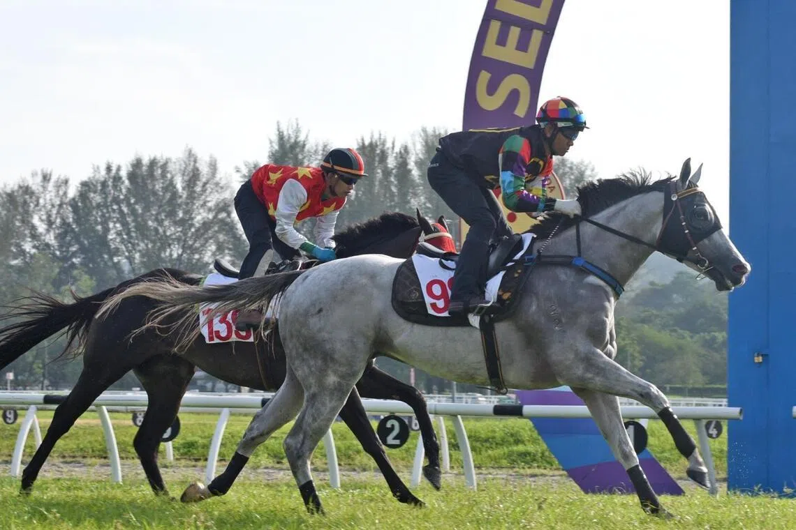 Mega Maximus - Mega Maximus


PHOTO: SELANGOR TURF CLUB