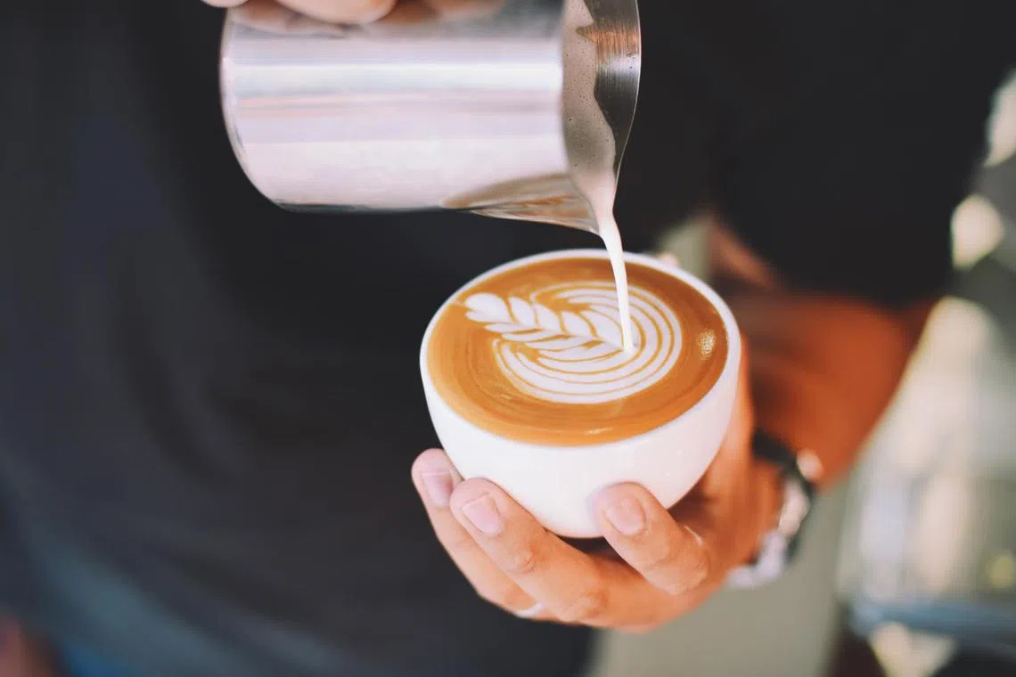 The plan is to stop the felling of forests to grow products sold in Europe. 