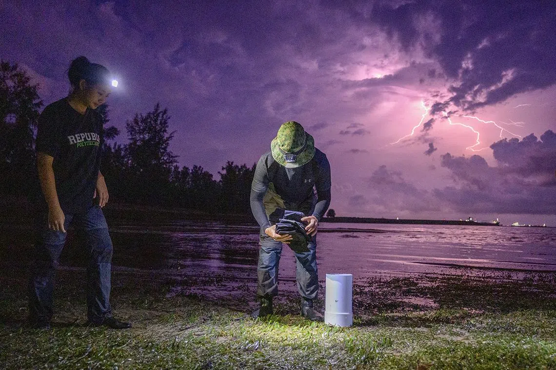 Lightning strike as preparation for the collection is being done.