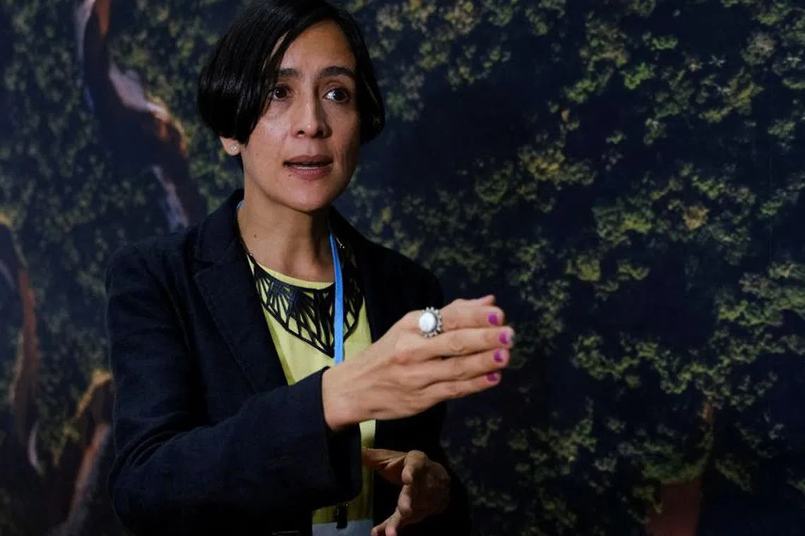 FILE PHOTO: Colombia's Environment Minister Susana Muhamad speaks during an interview with Reuters at the COP27 climate summit in Red Sea resort at Sharm el-Sheikh, Egypt, November 12, 2022. REUTERS/Emilie Madi/