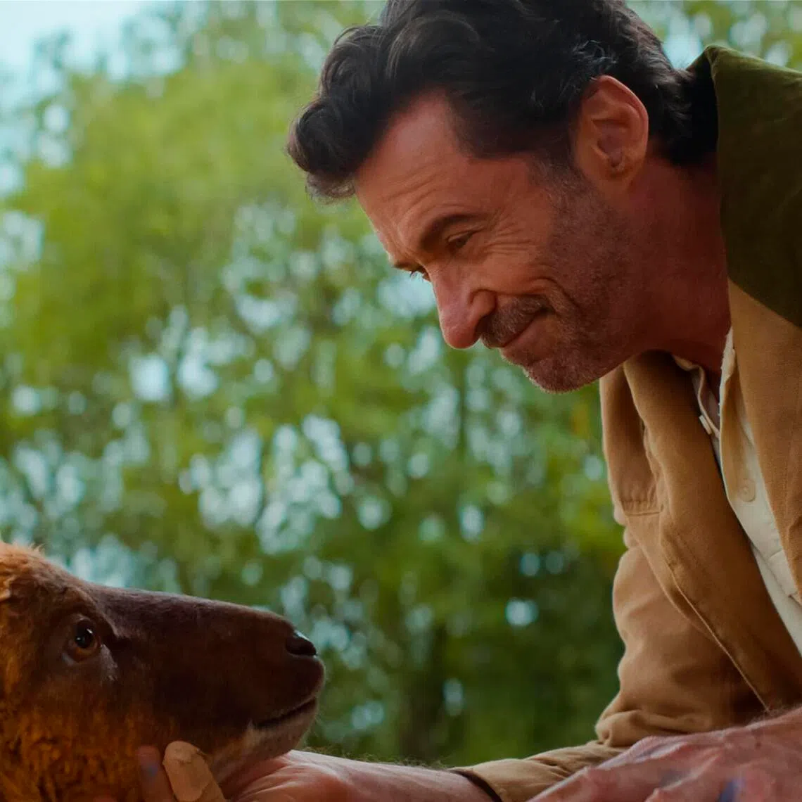 Hugh Jackman in The Sheep Detectives.